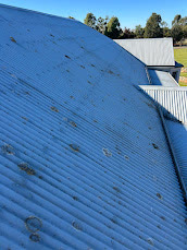 Colorbond metal roof with moss and grime before cleaning