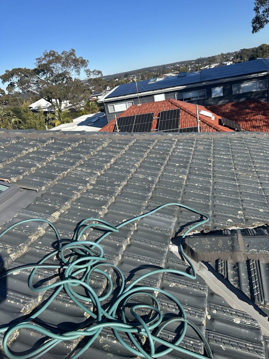 Tile roof covered in lichen and moss build-up before soft washing